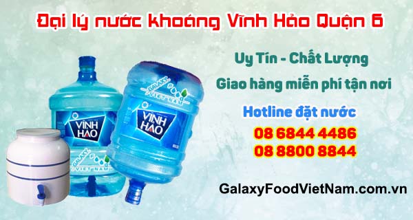 dai ly nuoc suoi vinh hao quan 6